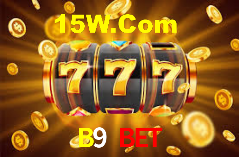 Descubra a Essência do B9 Bet: Nossa História e Compromissos